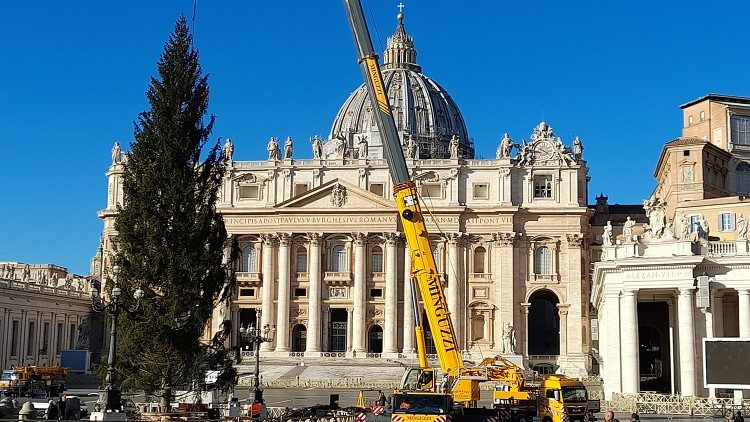 Коледното дърво пристигна на площад „Свети Петър“. 2020.11.30