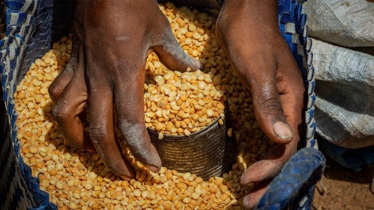 马达加斯加人民与粮食
