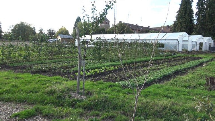 The vegetable garden of the former Carmel of Mehagne