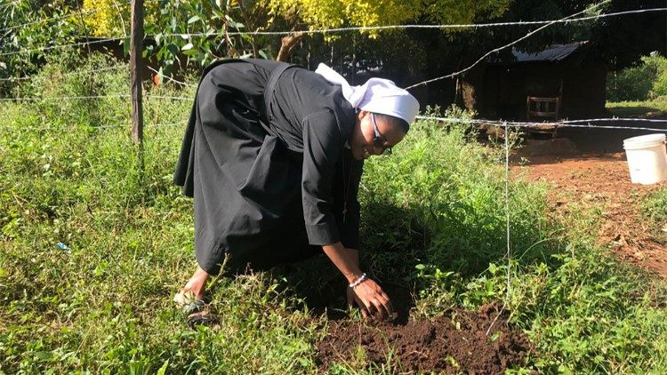 A nun planting a tree in Kakamega forest