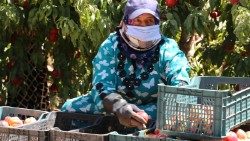 oit_Abdel-HameedAl-NasierILO.jpg