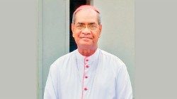 PATRICK-D-ROZARIO-cardinalAEM.jpg