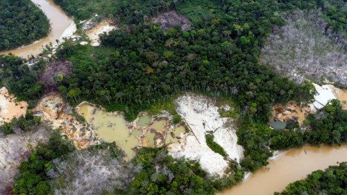 Incendios y deforestación: factores que amenazan el equilibrio en la Amazonía