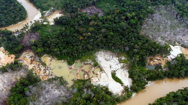 Deforestación en los territorios de la Amazonía: en riesgo los ecosistemas. Fuente: REPAM