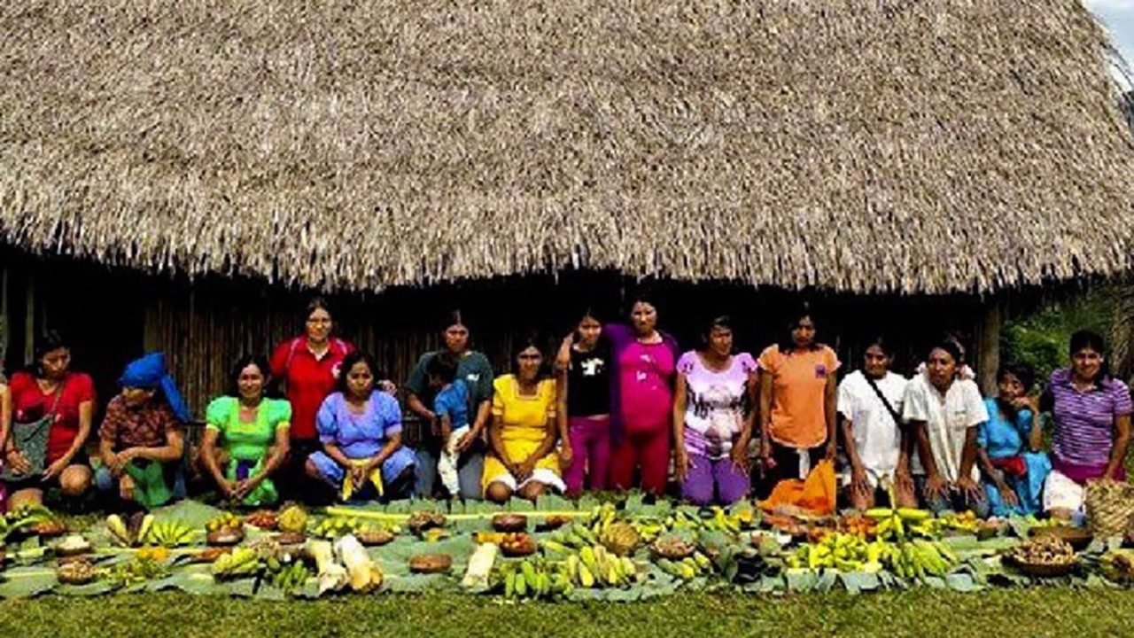 Brasile, tutelare l’amazzonia con il commercio equo solidale - vatican news