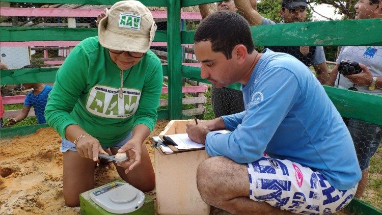 Aluno da universidade ensina moradora a transplantar os ninhos no Igapó Açu