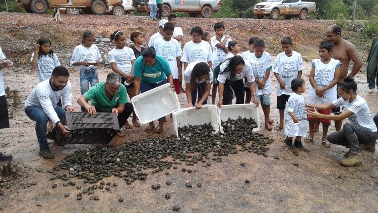 The Igapó Açu community celebrates the release of chelonian offspring into the wild