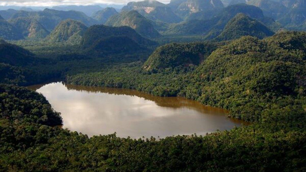 XIV CIMFAUNA de la Amazonía y Latinoamérica