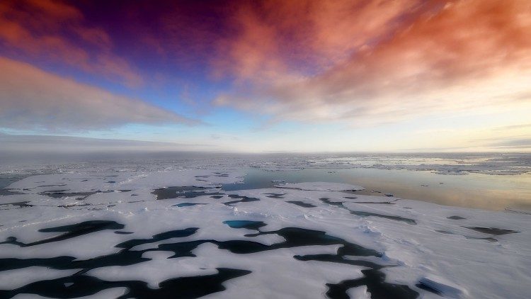 Panorama antartico