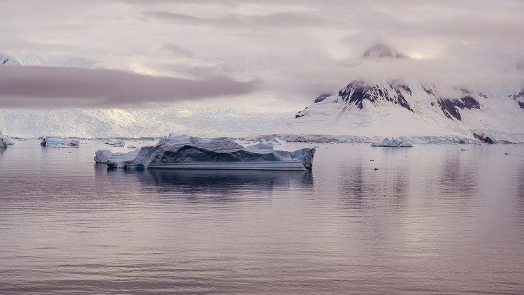 Panorama antartico