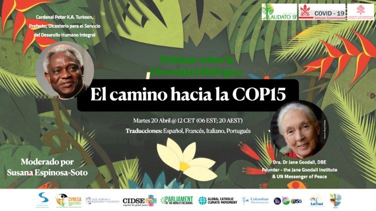 Hacia la Cop15 sobre la biodiversidad, un webinar inspirado en la Laudato si'