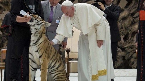 I Papi e gli animali, creature nel cuore di Dio e della Chiesa