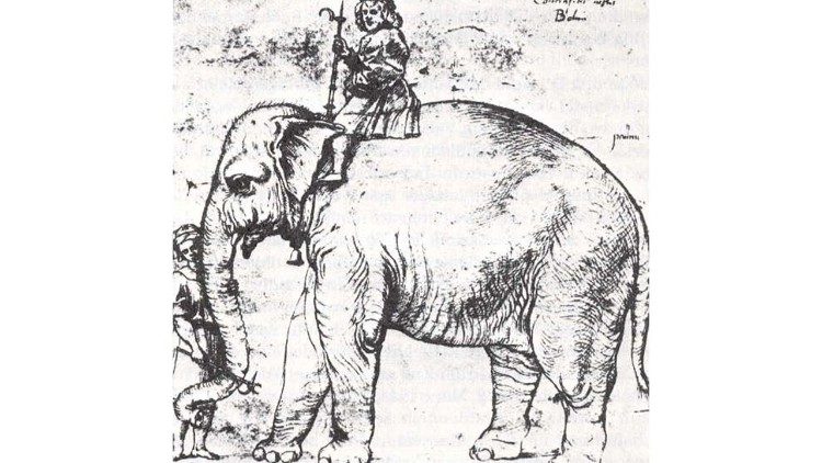 Schizzo di Raffaello Sanzio sull'elefante "Annone".