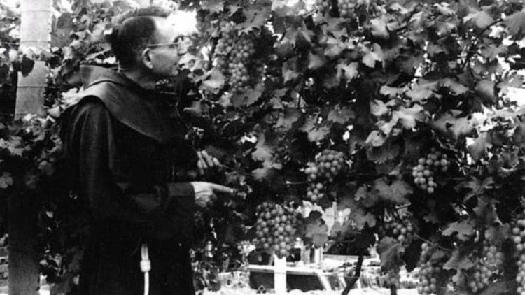 Padre Cosma Spessotto e la vigna che era riuscito a impiantare nella sua parrocchia grazie ad un vitigno proveniente dal suo paese natale. Un tentativo per offrire una prospettiva di lavoro ai giovani salvadoregni