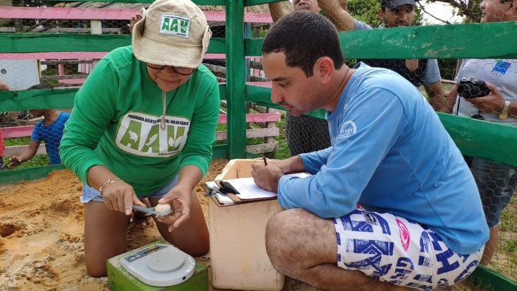 Studente universitario insegna ai residenti come trapiantare i nidi nell'Igapó Açu