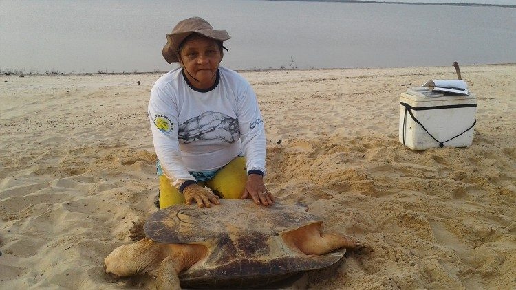 Una residente di Terra Santa, in Pará impegnata nella marcatura delle tartarughe adulte 