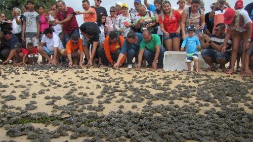 Amazonia: De depredadores a voluntarios para salvar las tortugas