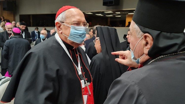 Il cardinale Sandri alla Conferenza "Chiesa, casa della carità, sinodalità e coordinamento"