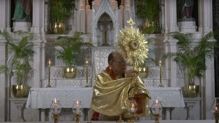 Card. Oswald Gracias imparting the benediction at the end of the Eucharistic Adoration. 