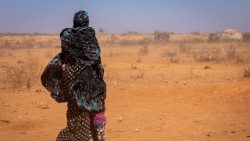 CORNE-AFRIQUE-1.jpg