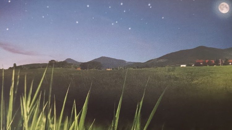 L'immagine di copertina al libro di Antonio Coccoluto edito da Città Nuova: "Un filo d'erba che fissa le stelle"