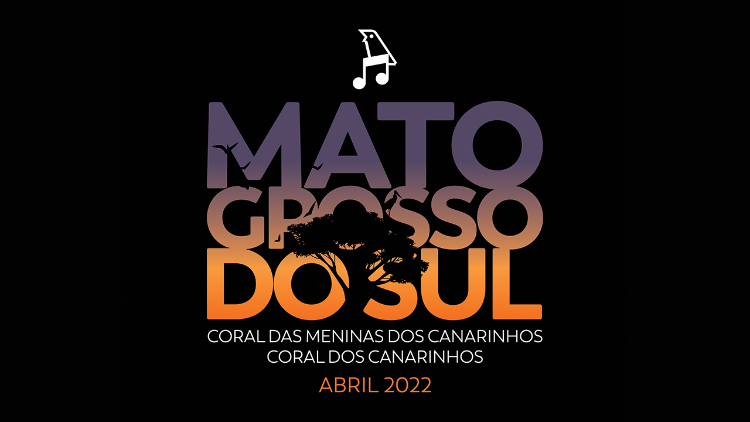 Os canarinhos no Mato Grosso do Sul