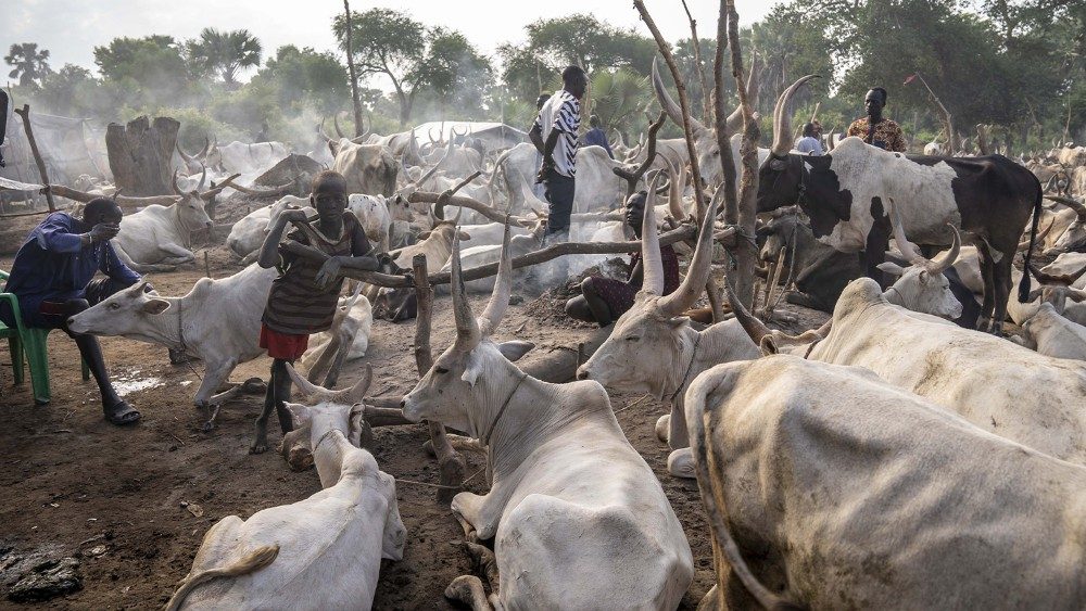 Au camp de bétail de Yirol, au Soudan du Sud, début juillet 2022