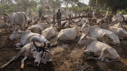 El campamento ganadero, el viaje de los pastores Dinka de Sudán del Sur