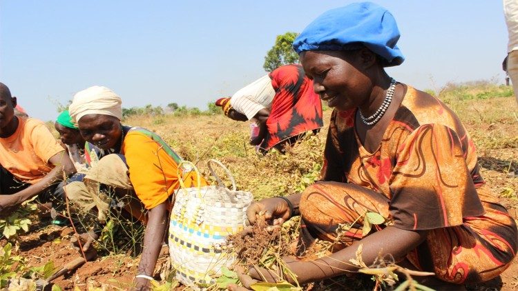 Die Malteser unterstützen ein landwirtschaftliches Projekt in der Nähe von Wau (Südsudan)