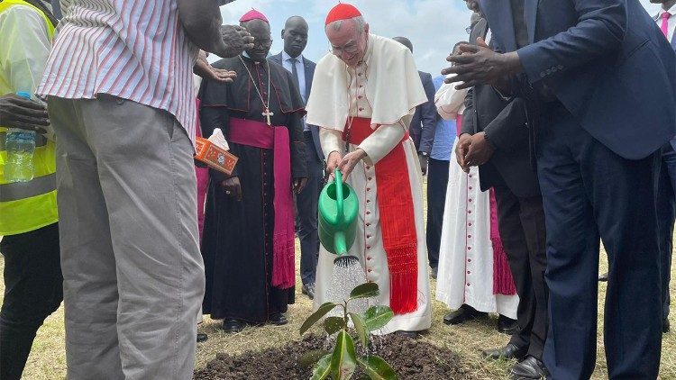 Il cardinale pianta un albero di fico nel giardino dell'Università cattolica