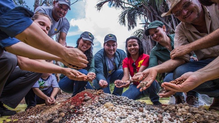 Funcionários do ISA de Canarana e da Rede de Sementes do Xingu preparando muvuca de sementes.  Arquivo: Rede de Sementes Xingu, PA.