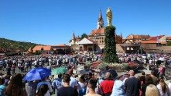 IMG_1910.jpeg