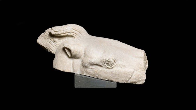 Cabeça de cavalo do frontão do Partenon (Vatican Media)