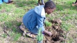 children-at-Tsangano-parish-plant-treesAEM.jpg