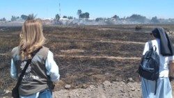 2023.02.15-Caritas-Chile-incendios-PHOTO-2023-02-13-16-11-18.jpg