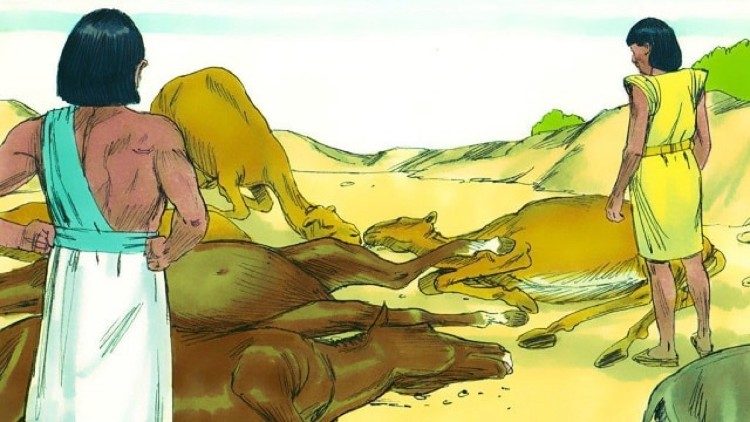 கால்நடைகளை இழந்து தவிக்கும் எகிப்தியர் 