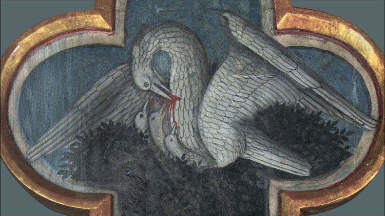 El detalle del pelícano