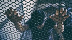 AdobeStock_135050119.jpeg