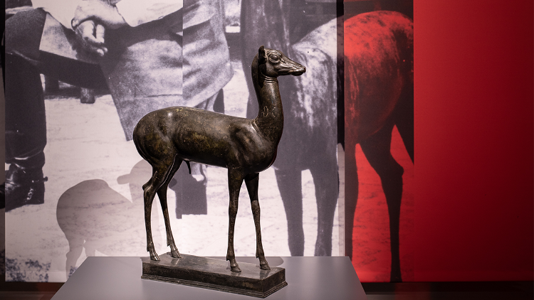 Cerbiatto dalla Villa dei Papiri di Ercolano, I secolo d.C., bronzo, Napoli, Museo Archeologico Nazionale