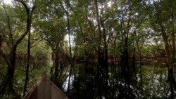Teaser---Amazonia-Viva.mov.00_00_36_24.Immagine004.jpg