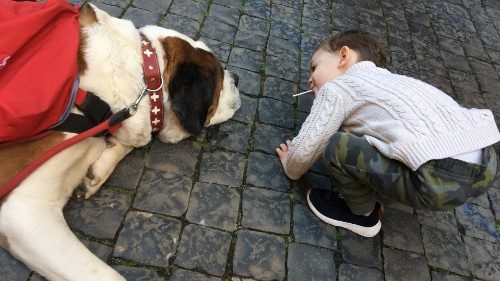  Pilgerreise auf zwei Füßen und vier Pfoten