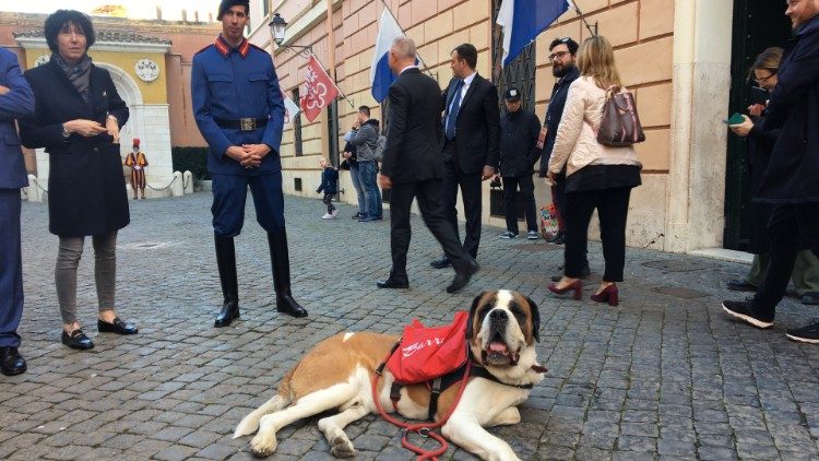 Franciszek otrzymał niecodzienny podarunek od psa bernardyna