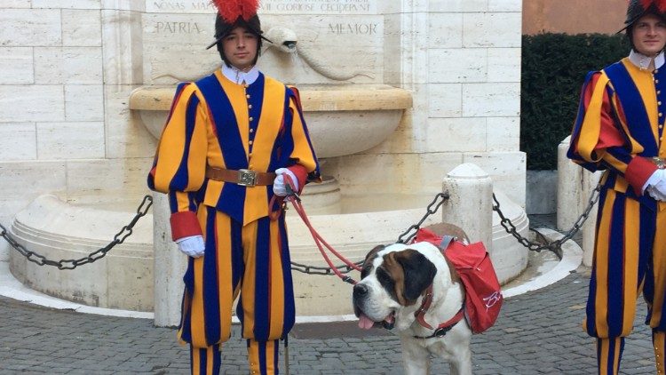 Magnum in Vaticano