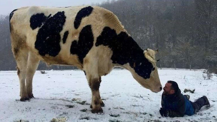 The lack of funds and the climate often make caring for the animals difficult, but Providence never seems to abandon Ismael