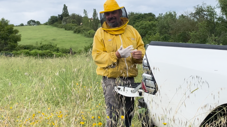 Andrea gets ready to pick up a swarm of bees