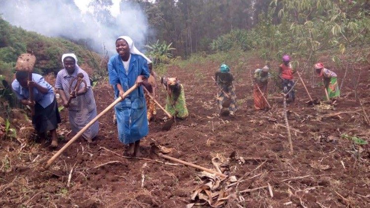 Les soeurs angéliques de Saint-Paul, dans le Sud-Kivu