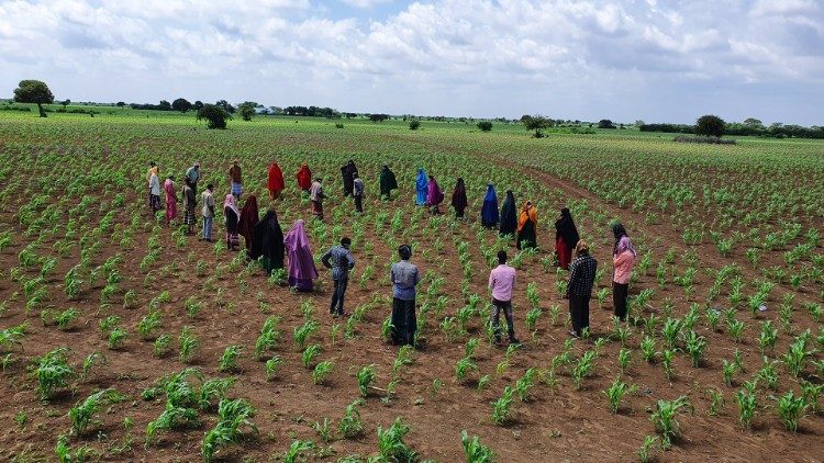 Gli sforzi di Coopi per garantire un minimo di agricoltura di sussistenza