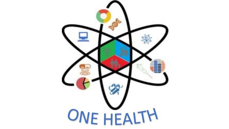 Logo del Corso di laurea "One health" dell'Universit "Magna Grecia" di Catanzaro