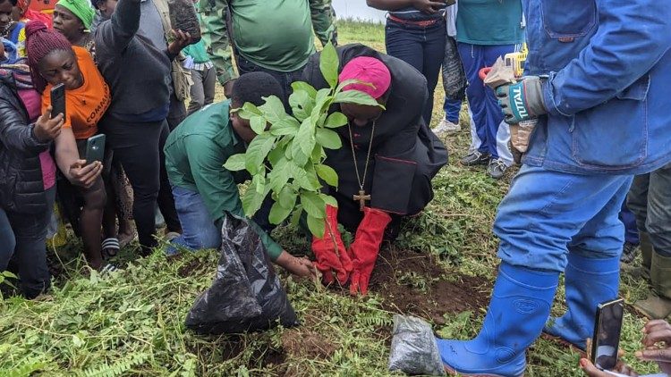 Mgr Abraham Kom, vque de Bafang (Cameroun), mettant en terre un jeune plant, durant la semaine de de sensibilisation sur la protection de lenvironnement, 5 au 8 juin 2023.