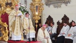 CARDINALE-PIETRO-PAROLIN-Omelia-nella-Messa-presso-la-Cattedrale-di-Capodistria-1--rsz.jpg